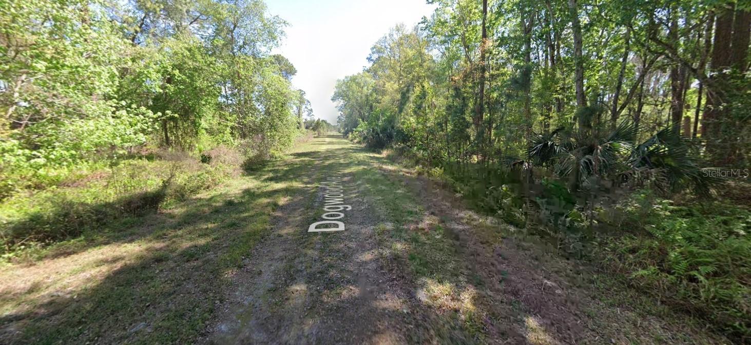 423 DOGWOOD AVE, GEORGETOWN, FL, 32139