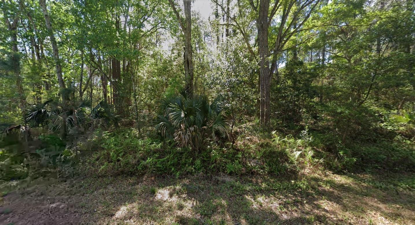 423 DOGWOOD AVE, GEORGETOWN, FL, 32139