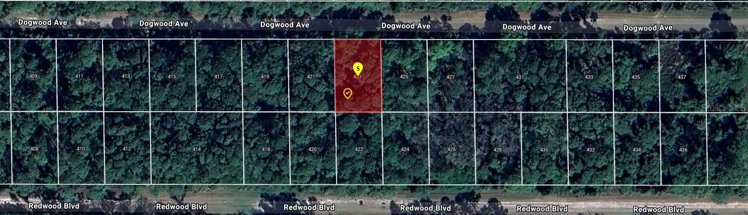 423 DOGWOOD AVE, GEORGETOWN, FL, 32139