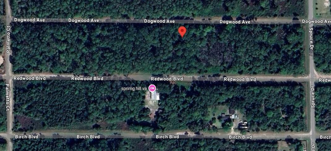 423 DOGWOOD AVE, GEORGETOWN, FL, 32139