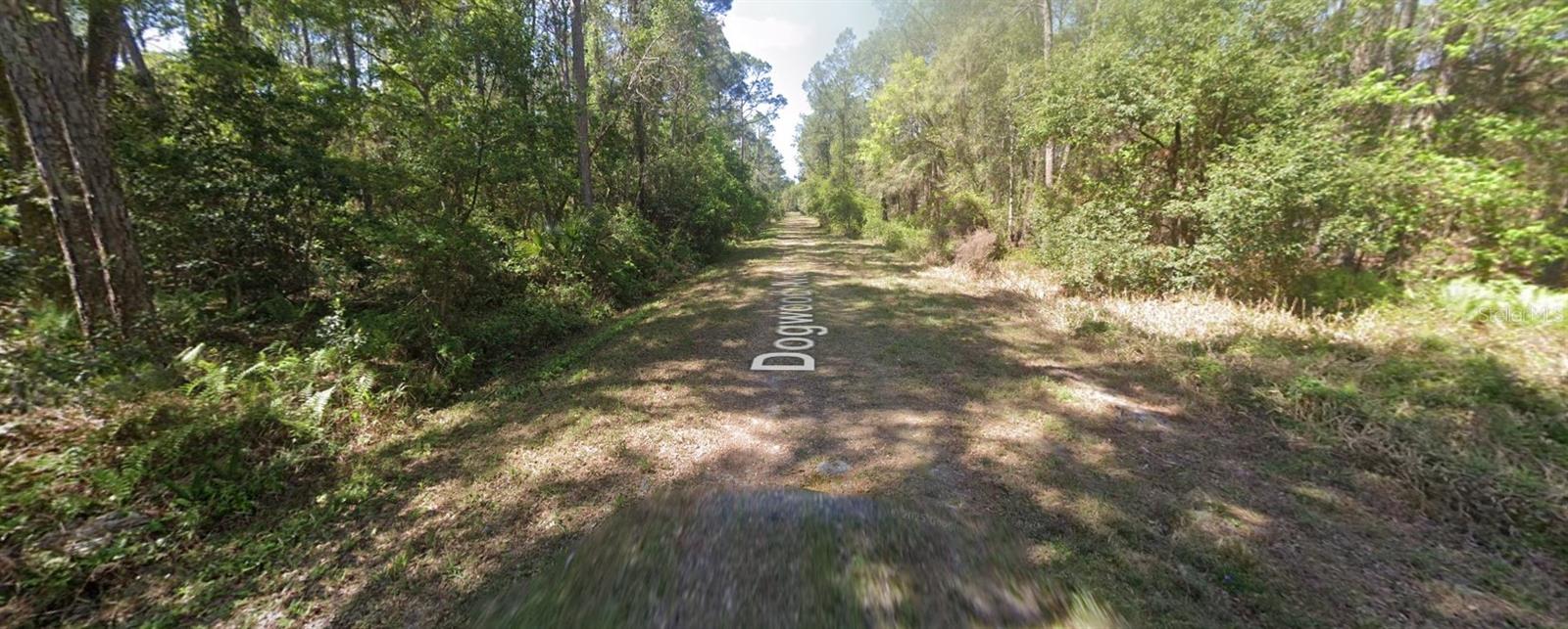 423 DOGWOOD AVE, GEORGETOWN, FL, 32139