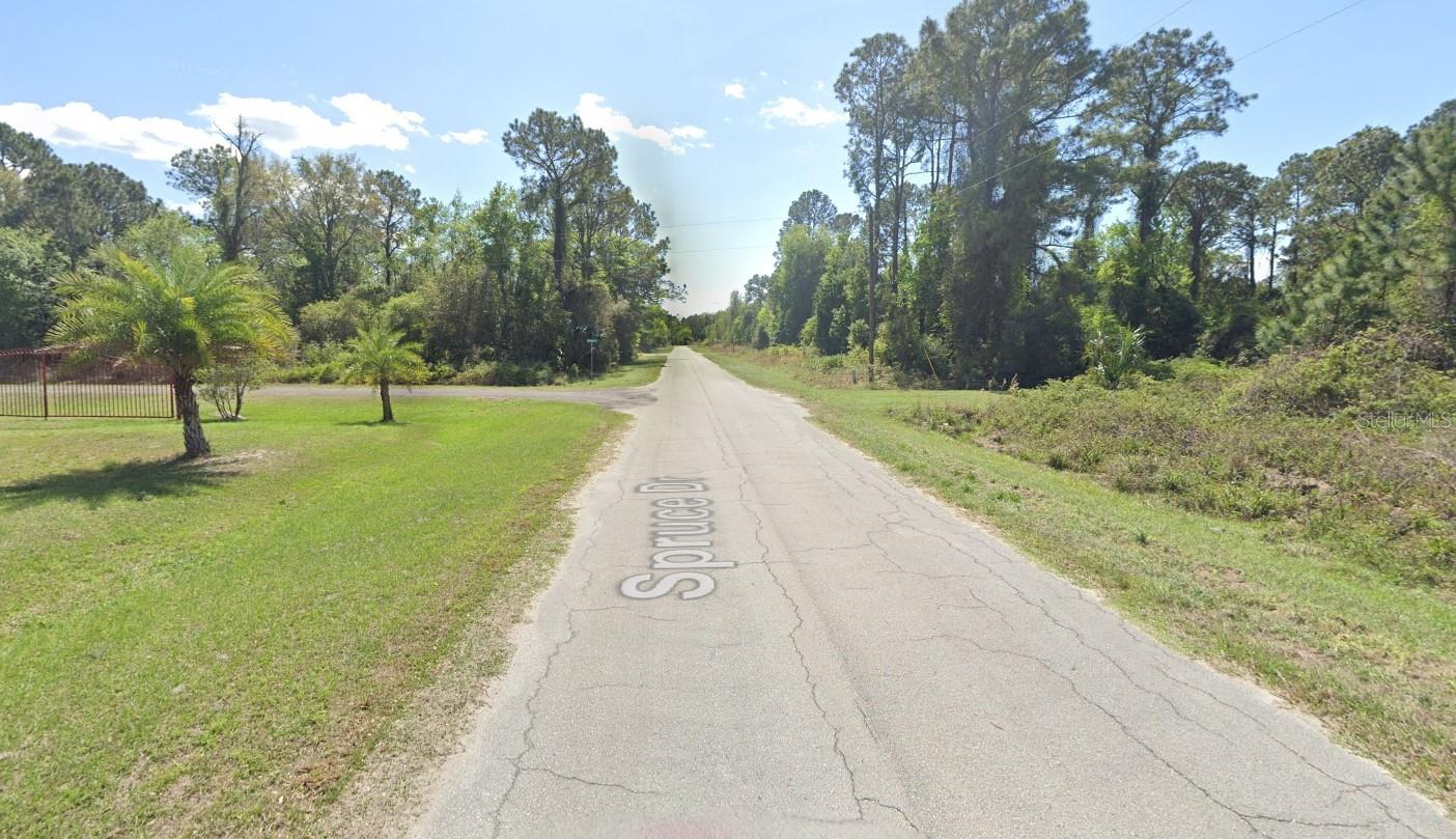 423 DOGWOOD AVE, GEORGETOWN, FL, 32139