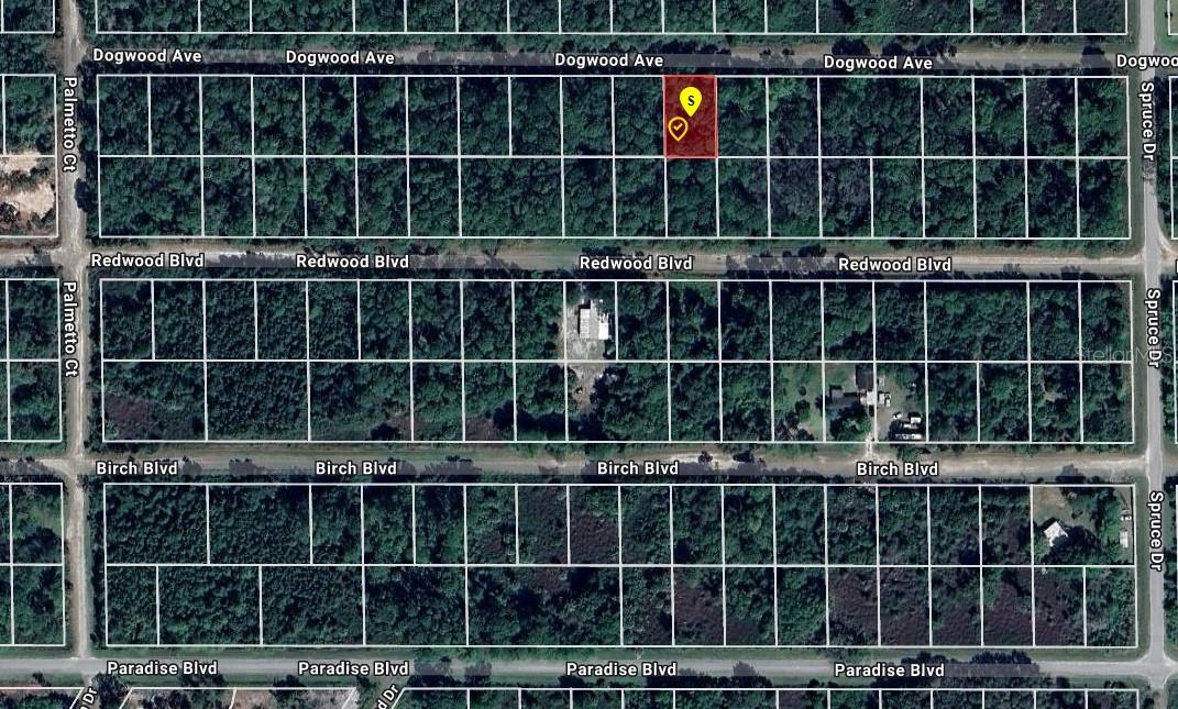 423 DOGWOOD AVE, GEORGETOWN, FL, 32139