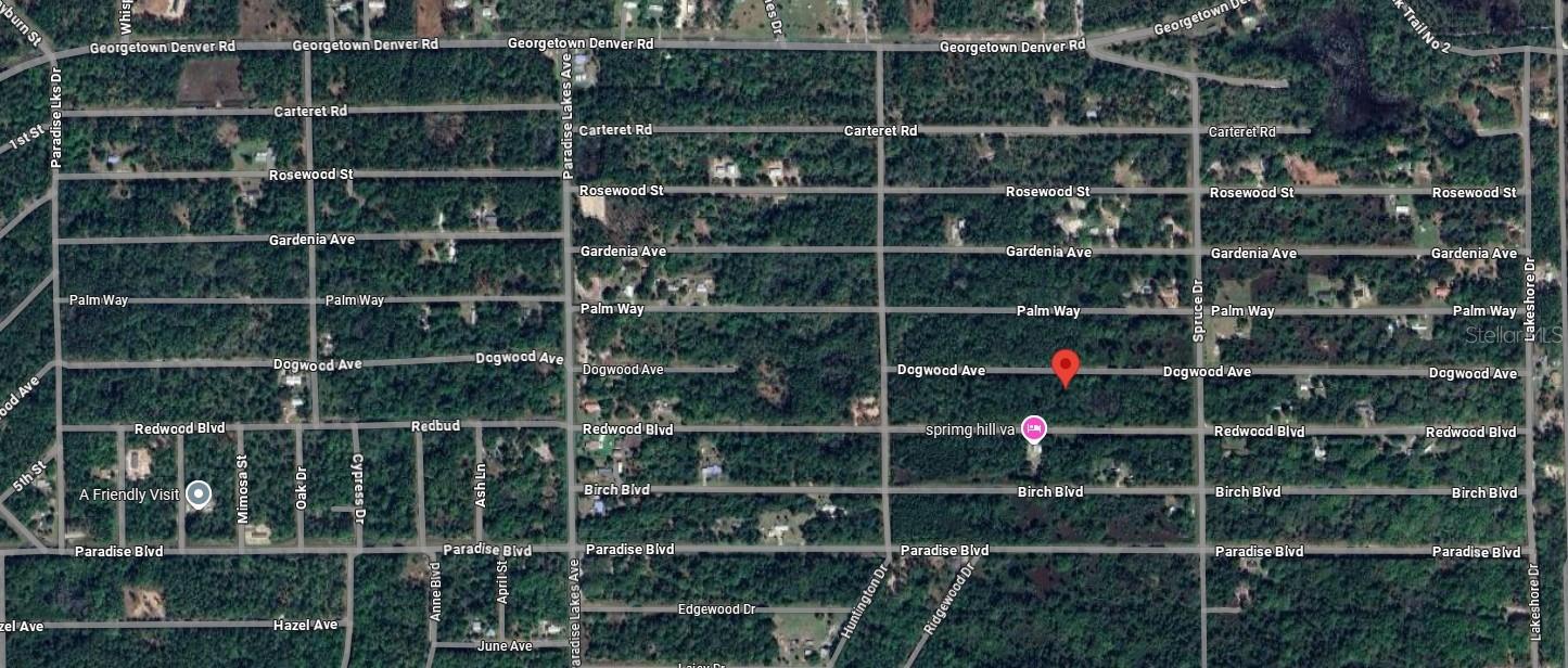 423 DOGWOOD AVE, GEORGETOWN, FL, 32139