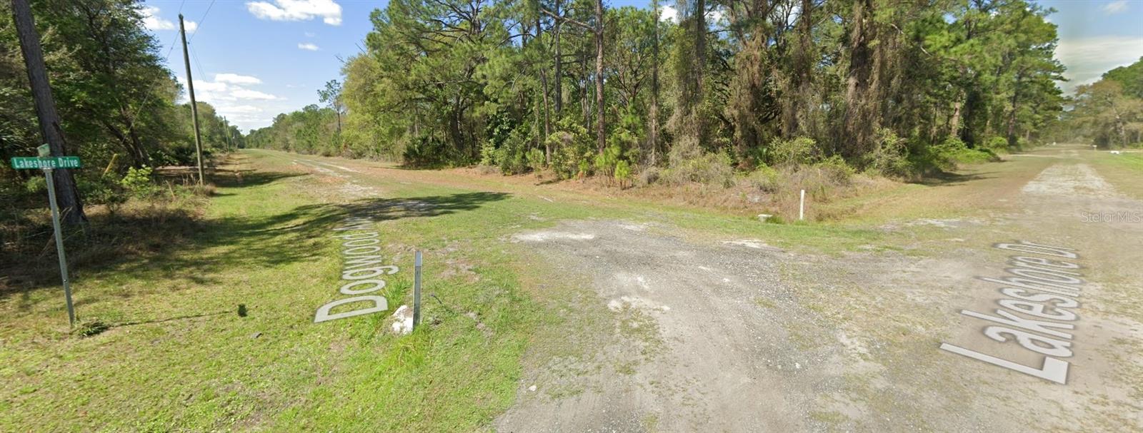 423 DOGWOOD AVE, GEORGETOWN, FL, 32139