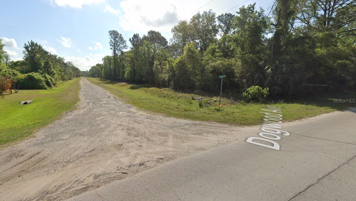 423 DOGWOOD AVE, GEORGETOWN, FL, 32139