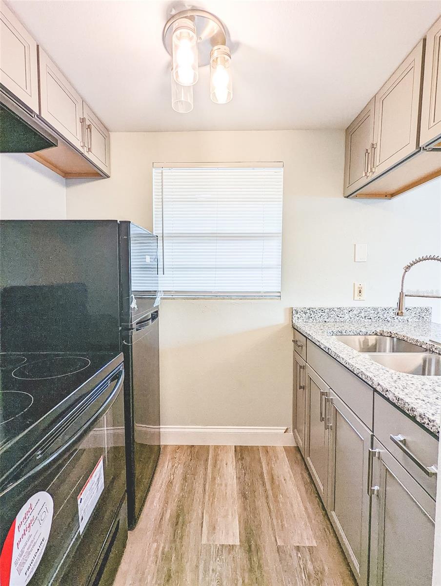 6123 MONTANA AVE, NEW PORT RICHEY, FL, 34653