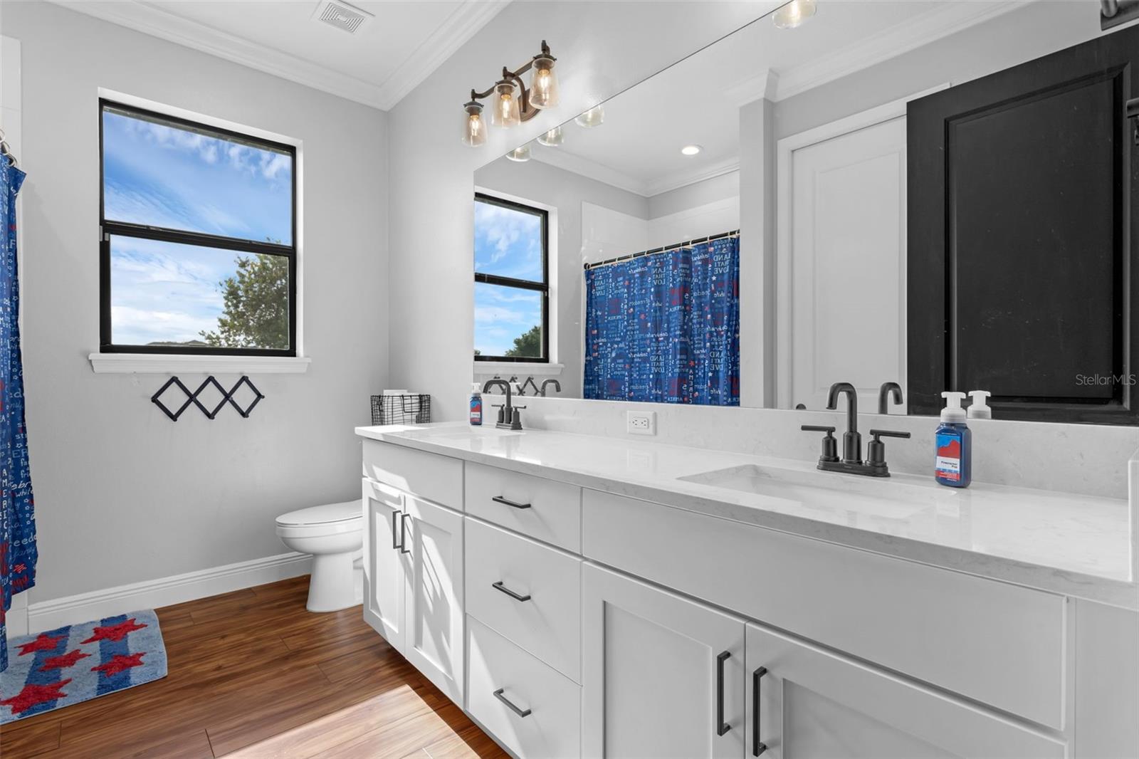 27071 MOSS VIEW DR, TAVARES, FL, 32778