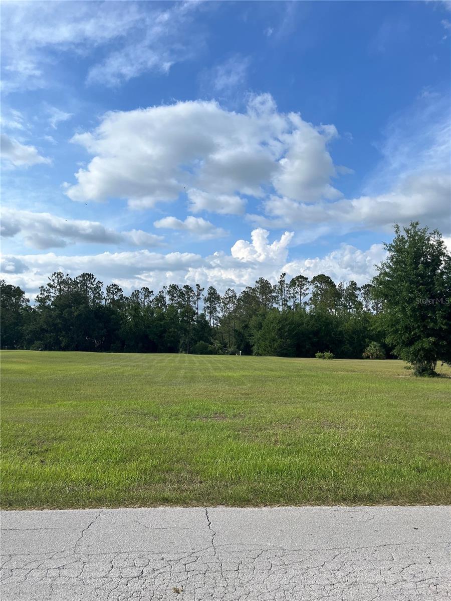 12940 CURLEY, SAN ANTONIO, FL, 33576