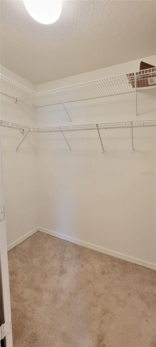 31124 MANDOLIN CAY AVE, WESLEY CHAPEL, FL, 33543