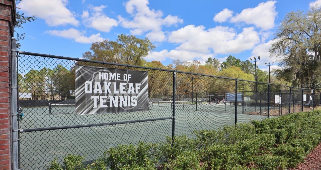 3281 CHESTNUT RIDGE WAY, ORANGE PARK, FL, 32065