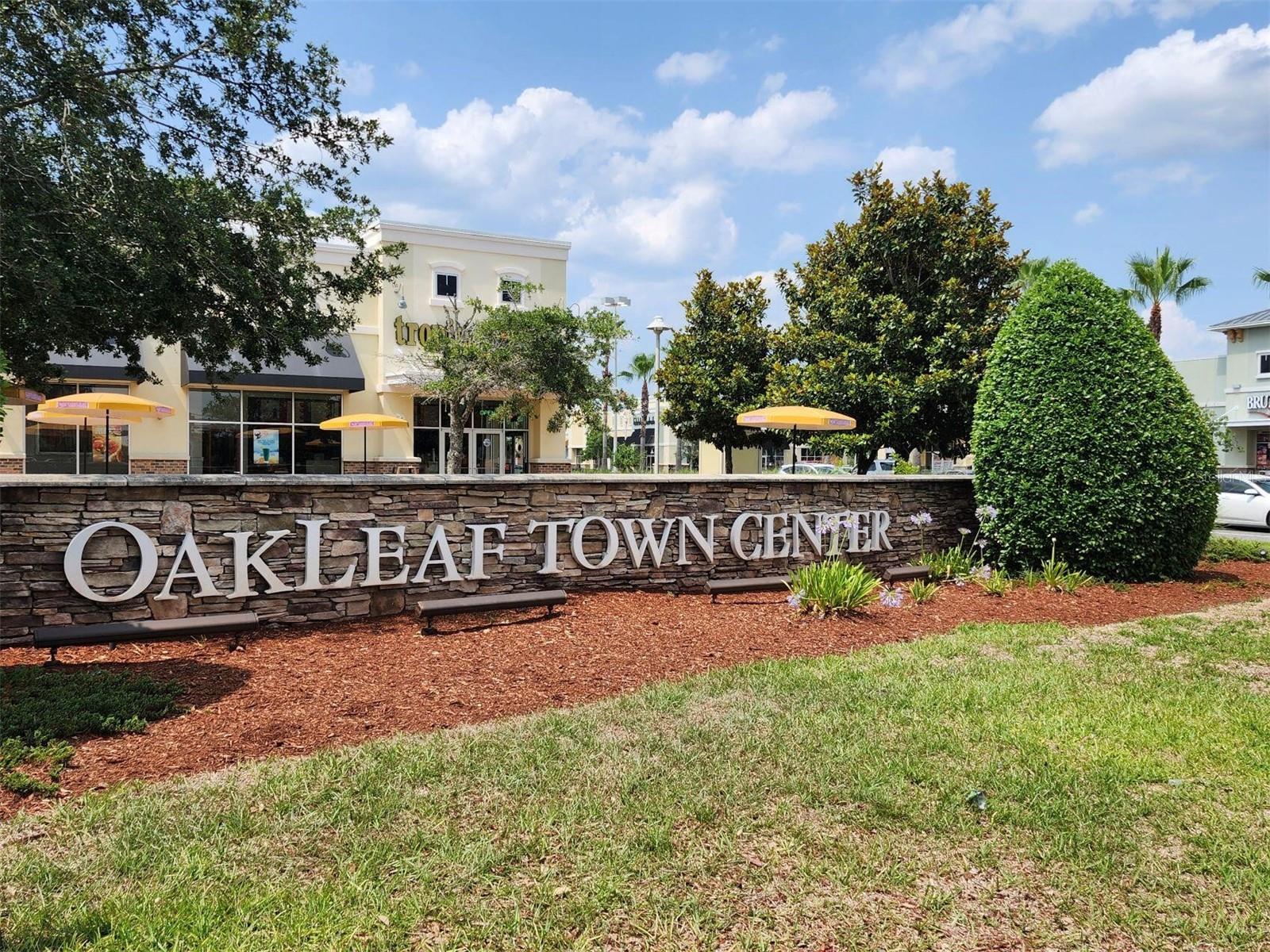 3281 CHESTNUT RIDGE WAY, ORANGE PARK, FL, 32065