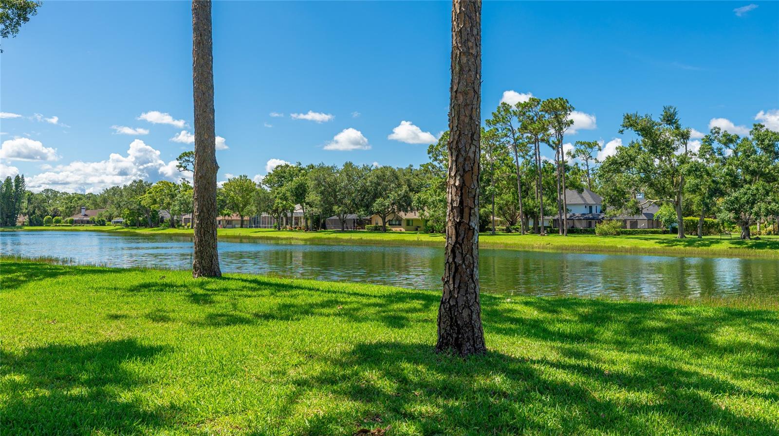 A4655607 Property Photo
