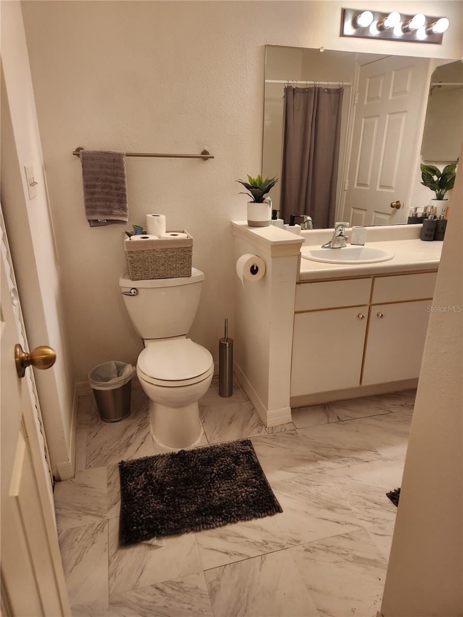 10436 WHITE LAKE CT #10436, TAMPA, FL, 33626