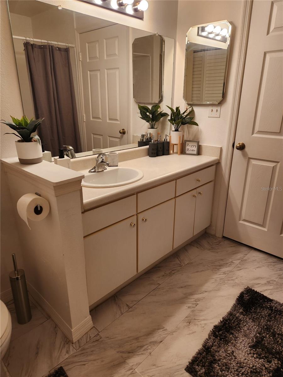 10436 WHITE LAKE CT #10436, TAMPA, FL, 33626