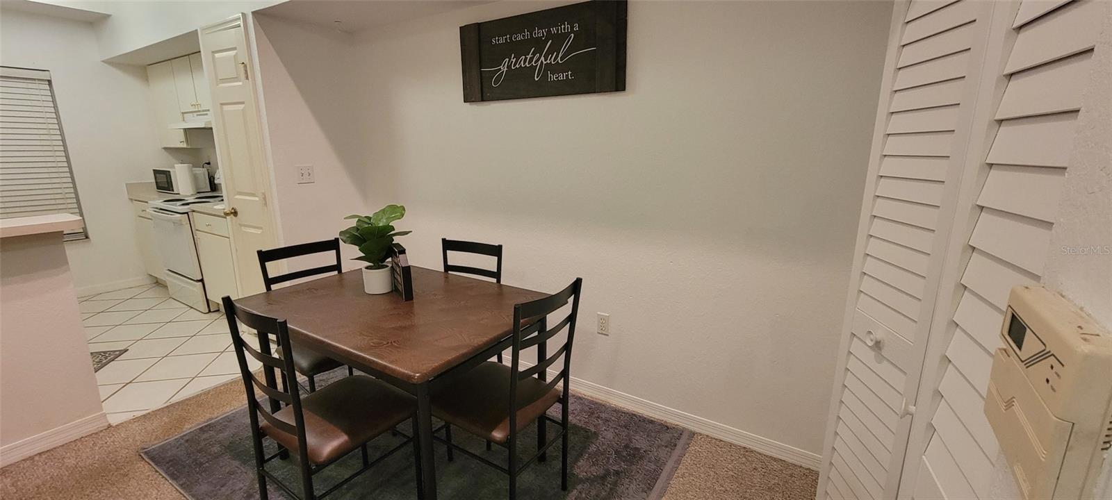 10436 WHITE LAKE CT #10436, TAMPA, FL, 33626