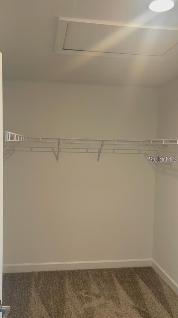 11203 LISTENING DR, ORLANDO, FL, 32832