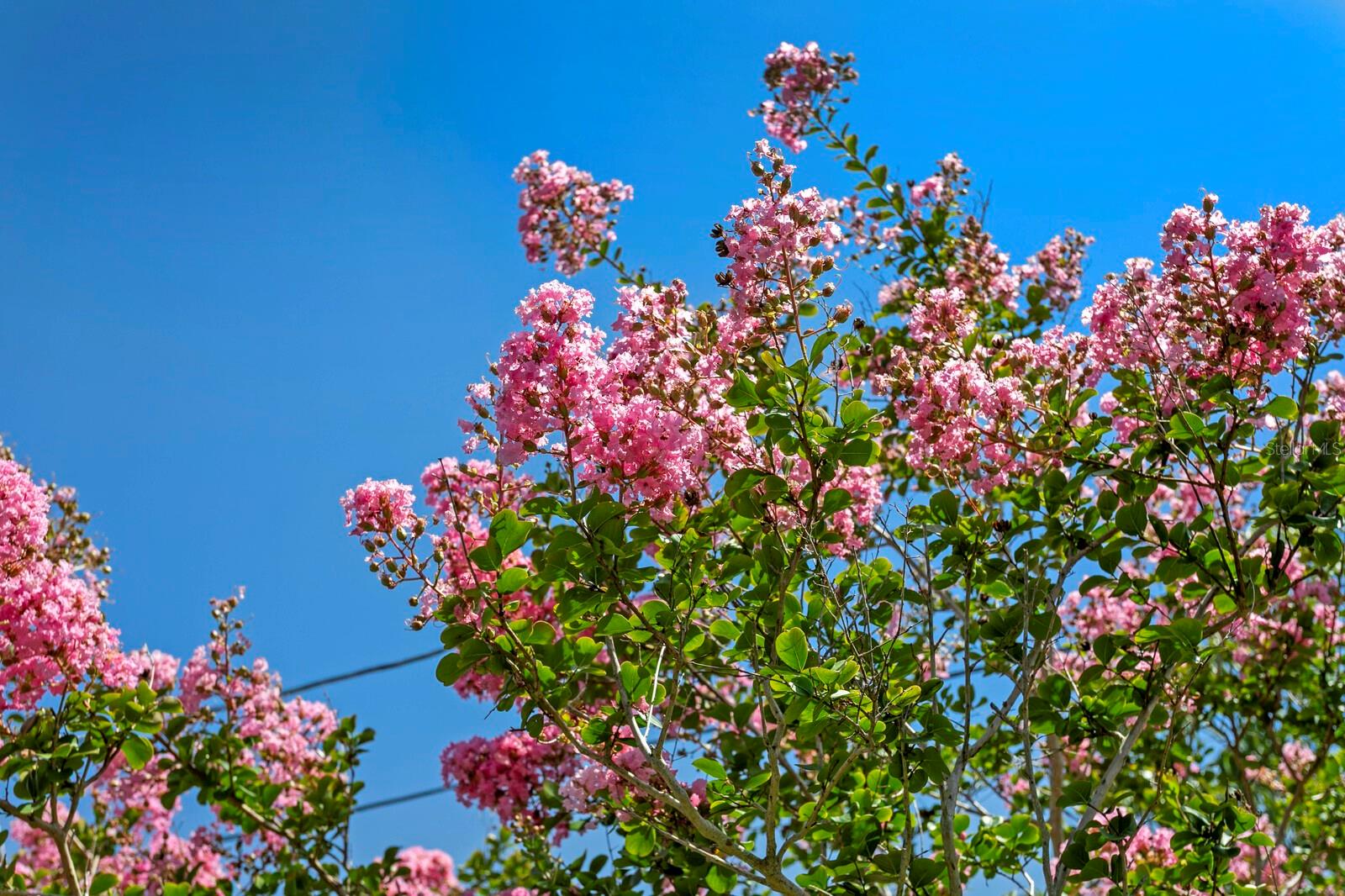 5860 99TH AVE N, PINELLAS PARK, FL, 33782