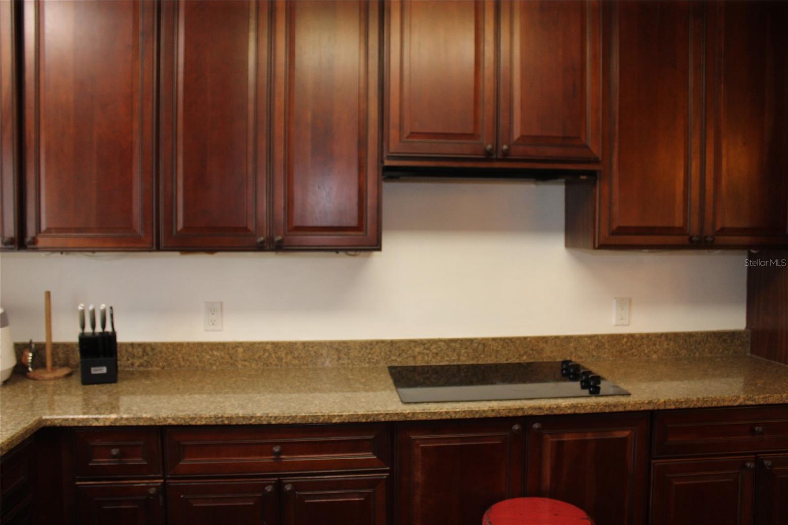 12794 PALM DR, LARGO, FL, 33774