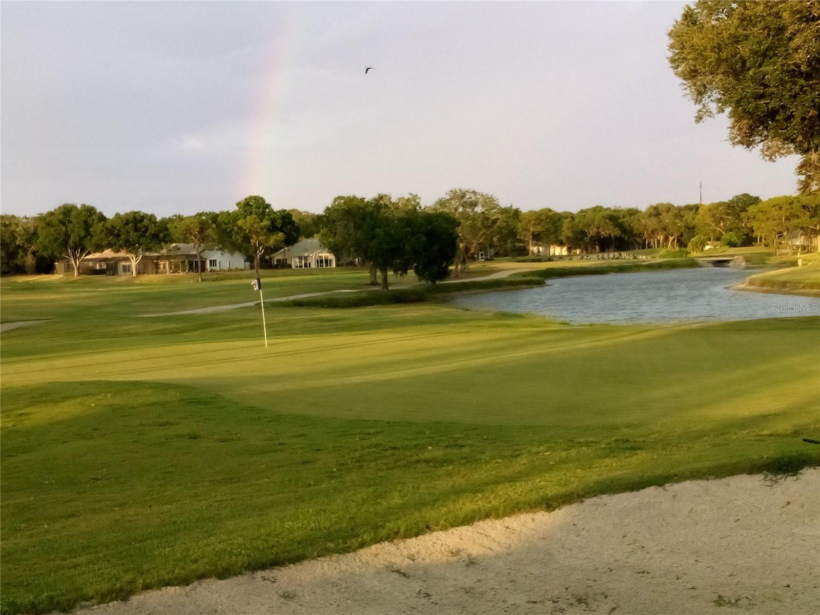 5449 DOWNHAM MDWS, SARASOTA, FL, 34235