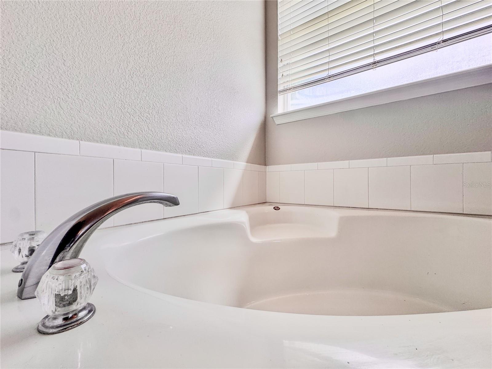 1637 MISTFLOWER LN, WINTER GARDEN, FL, 34787