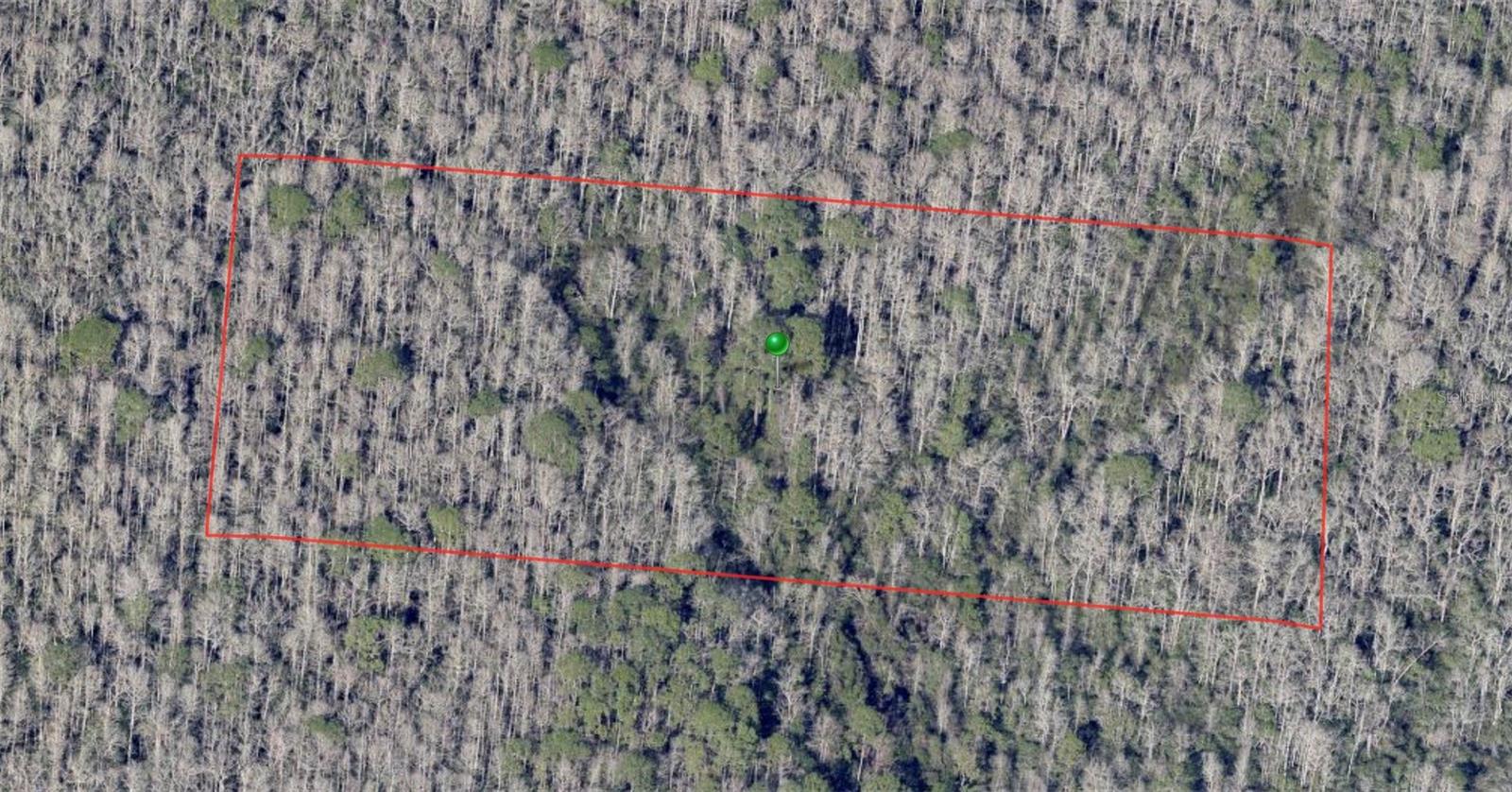 NO STREET, DE LEON SPRINGS, FL, 32130