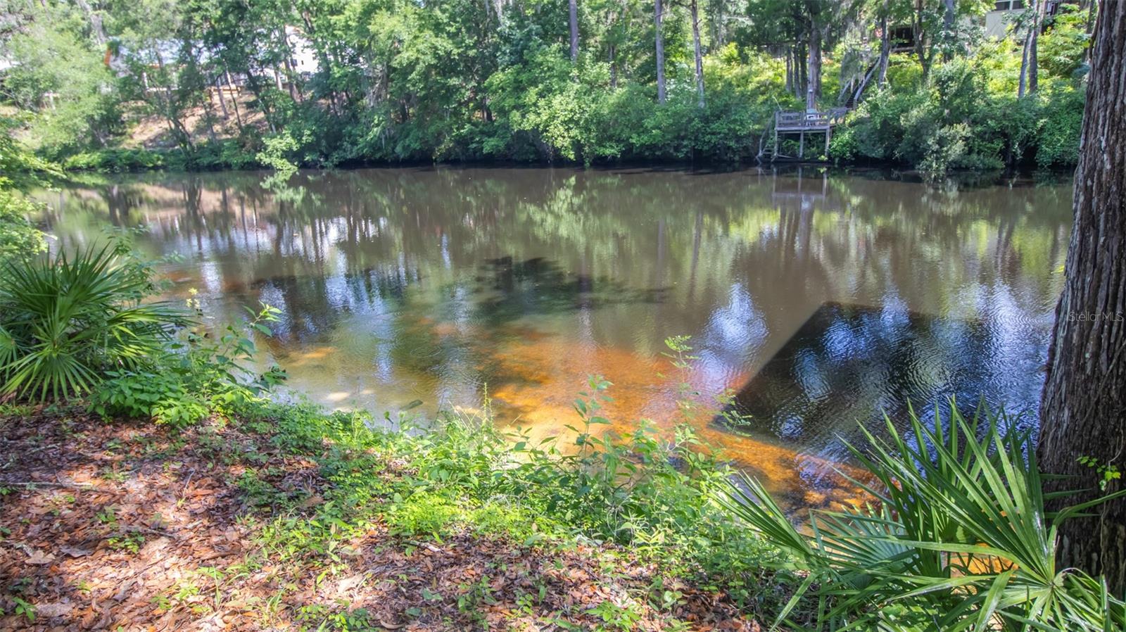2361 SANDY RUN DR N, MIDDLEBURG, FL, 32068