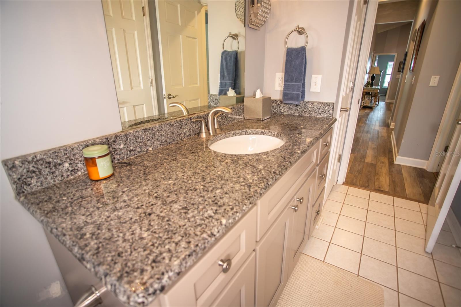 2361 SANDY RUN DR N, MIDDLEBURG, FL, 32068