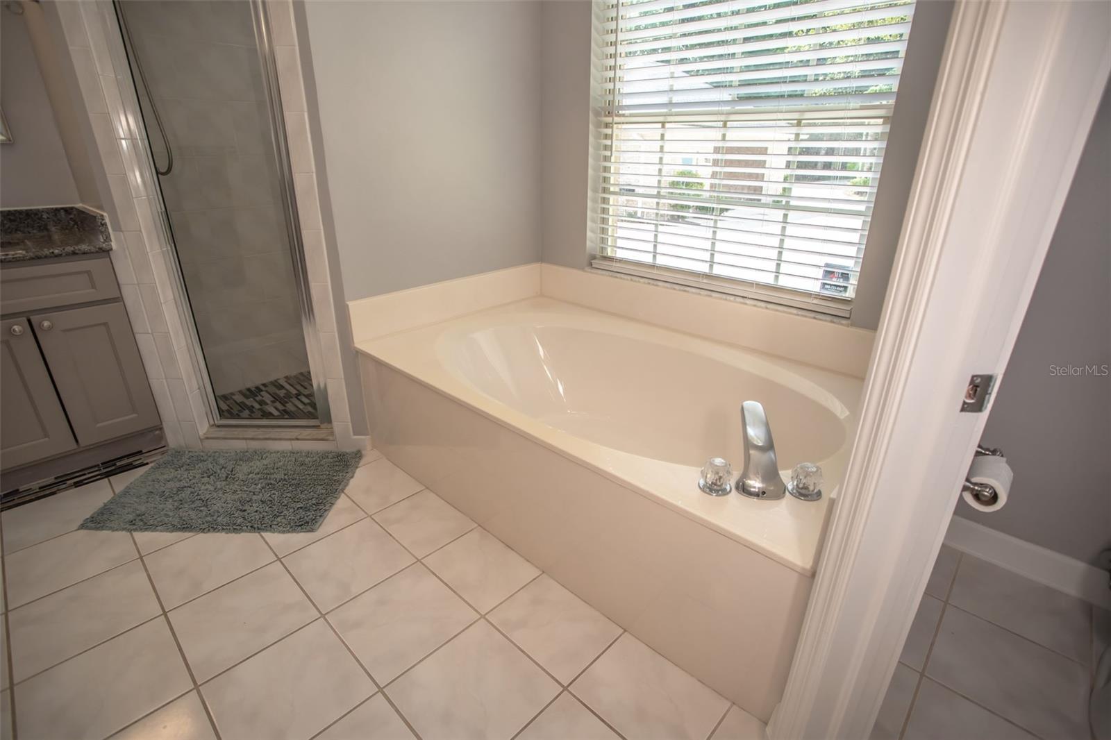 2361 SANDY RUN DR N, MIDDLEBURG, FL, 32068