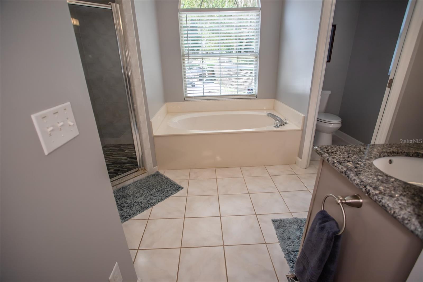 2361 SANDY RUN DR N, MIDDLEBURG, FL, 32068