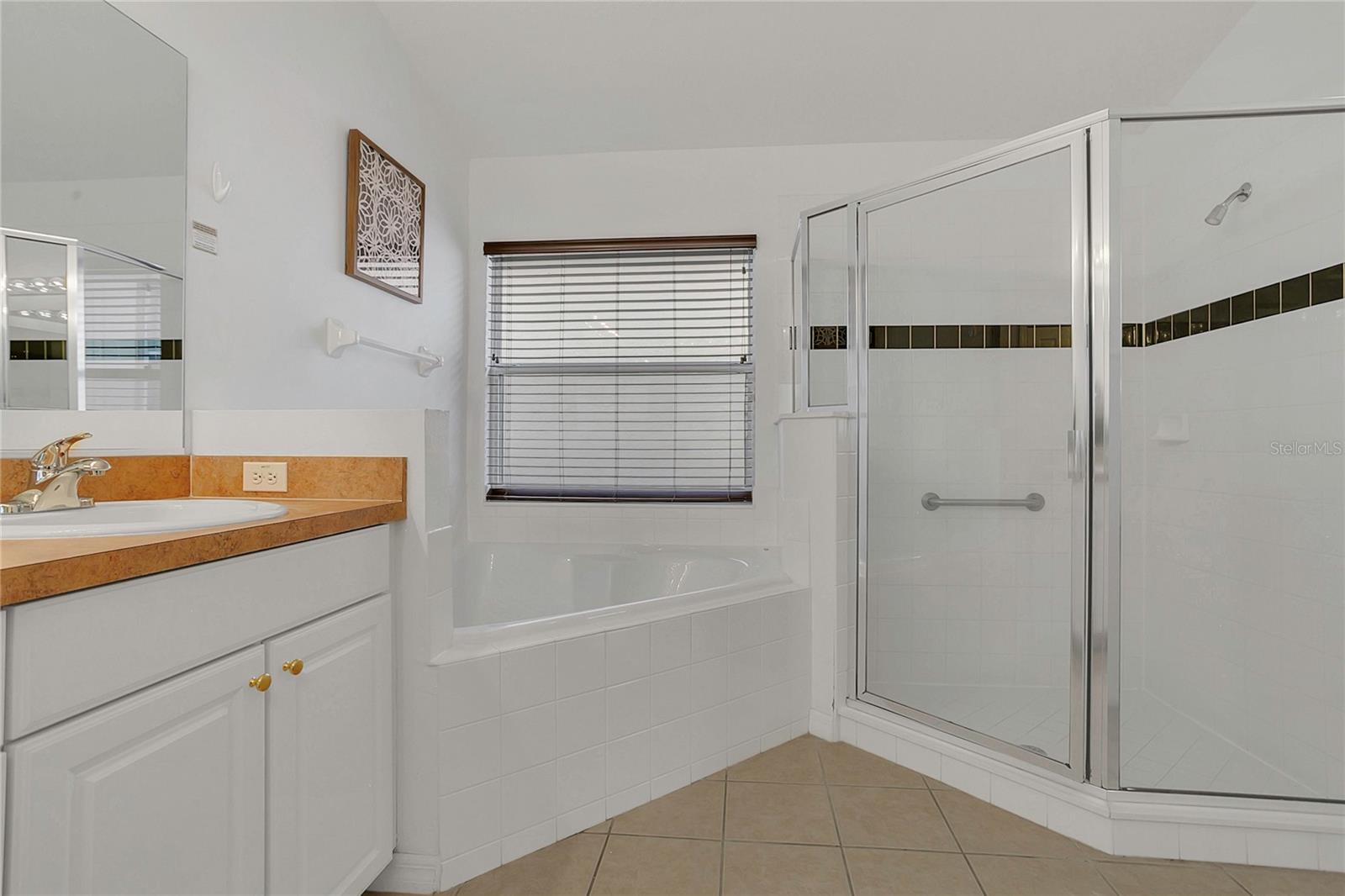 147 BRIDGEWATER DR, DAVENPORT, FL, 33897