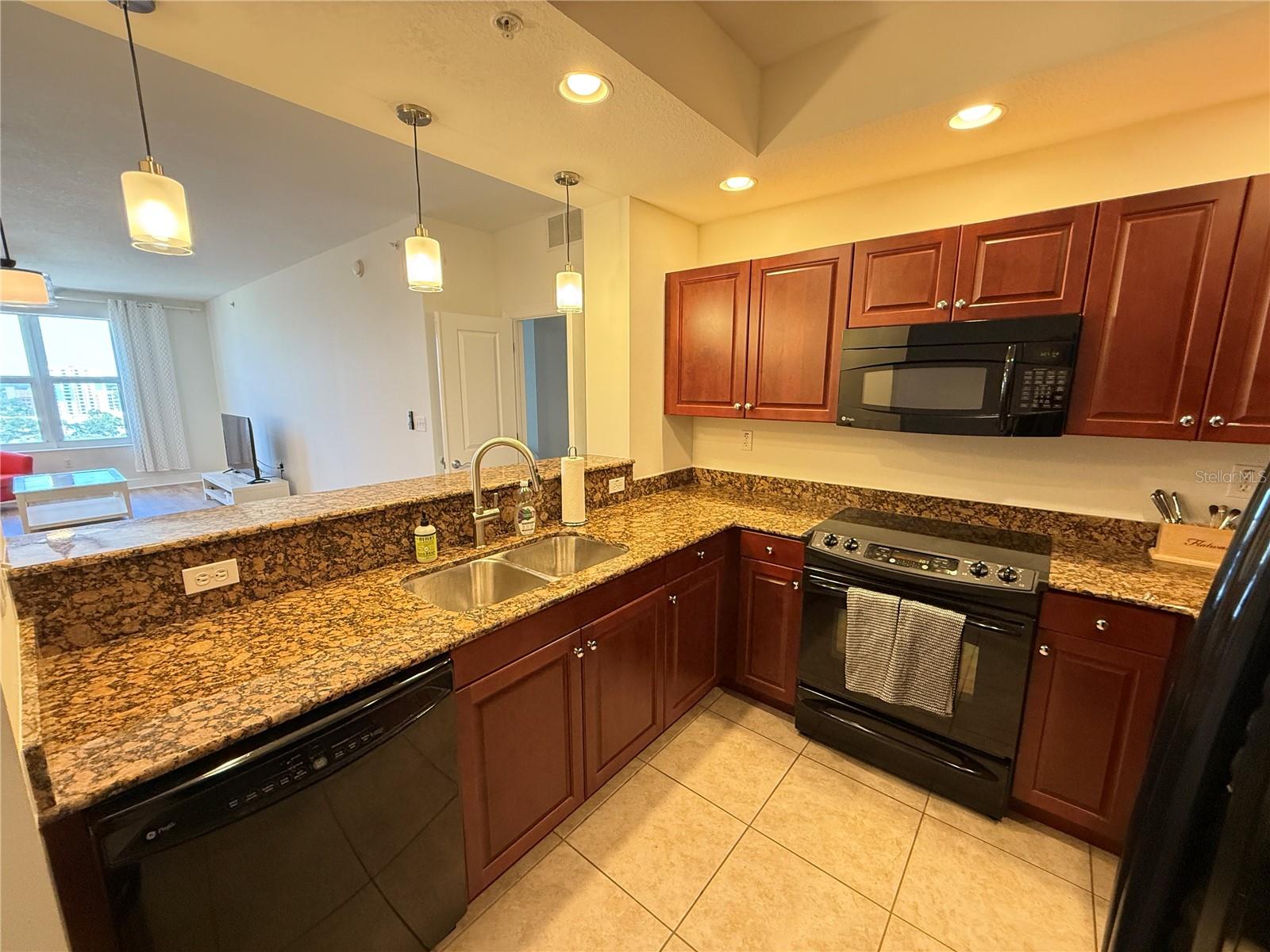 628 CLEVELAND ST #1210, CLEARWATER, FL, 33755