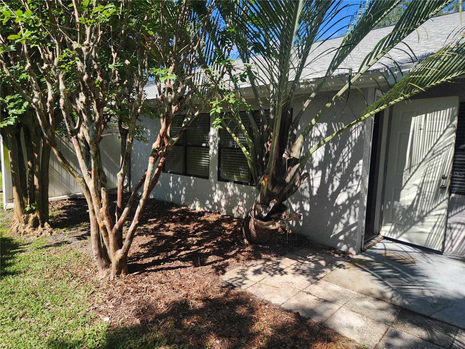 1537 LYNDA LN, DUNEDIN, FL, 34698