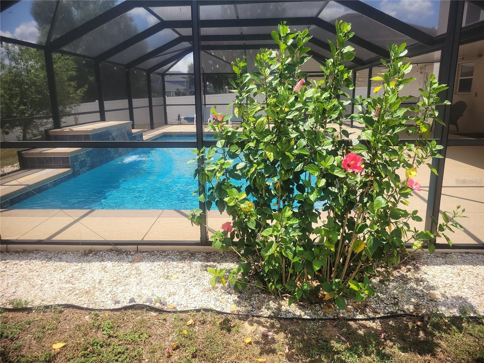 3223 SW 41ST AVE, OCALA, FL, 34474