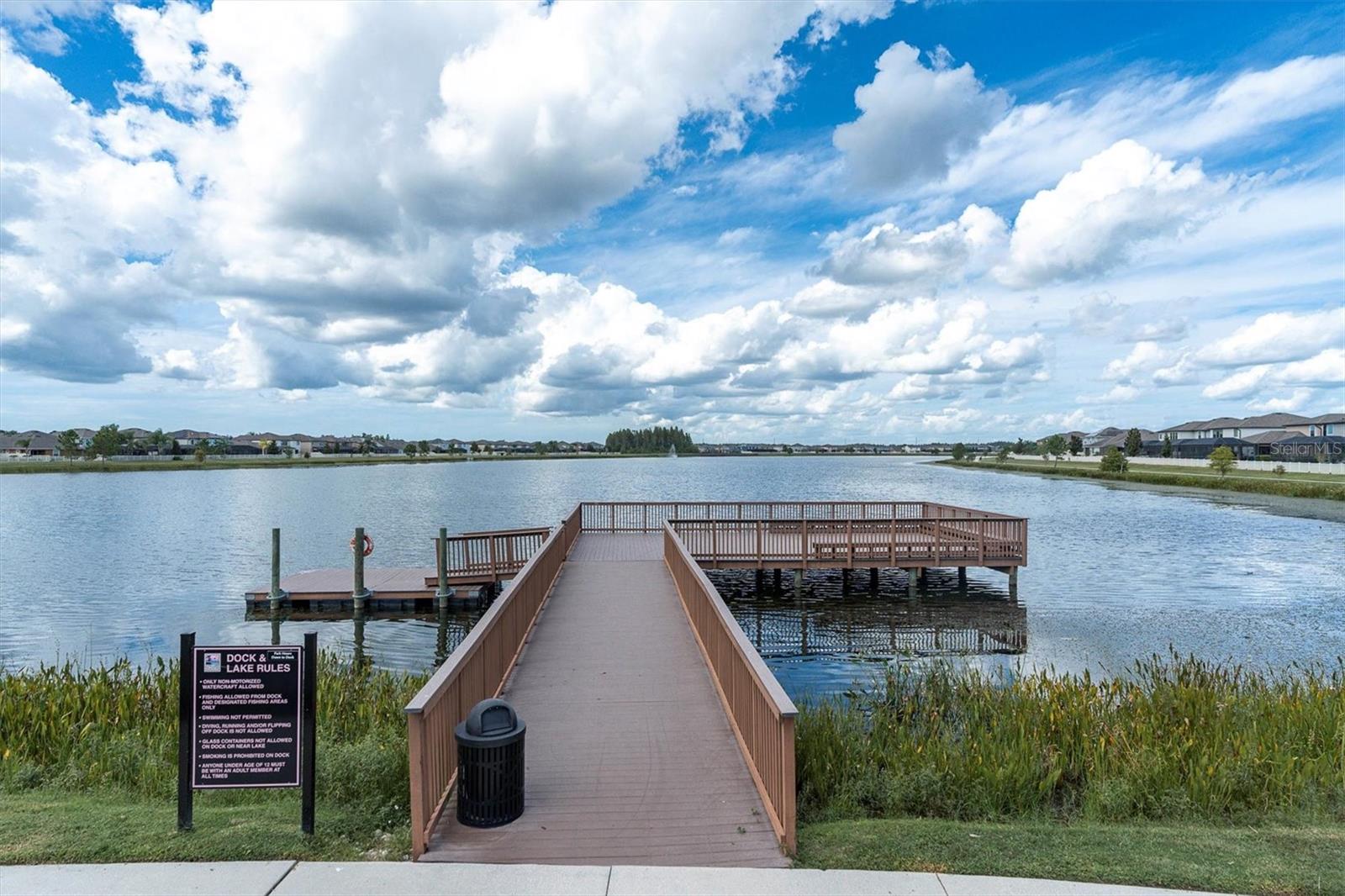 19326 LONG LAKE RANCH BLVD, LUTZ, FL, 33558