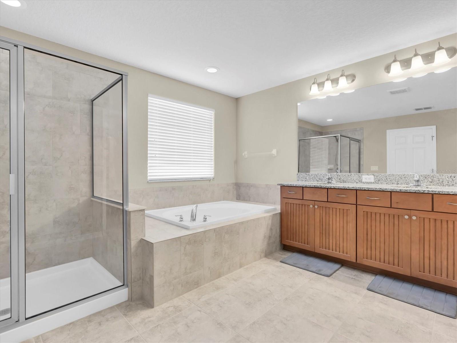 19326 LONG LAKE RANCH BLVD, LUTZ, FL, 33558