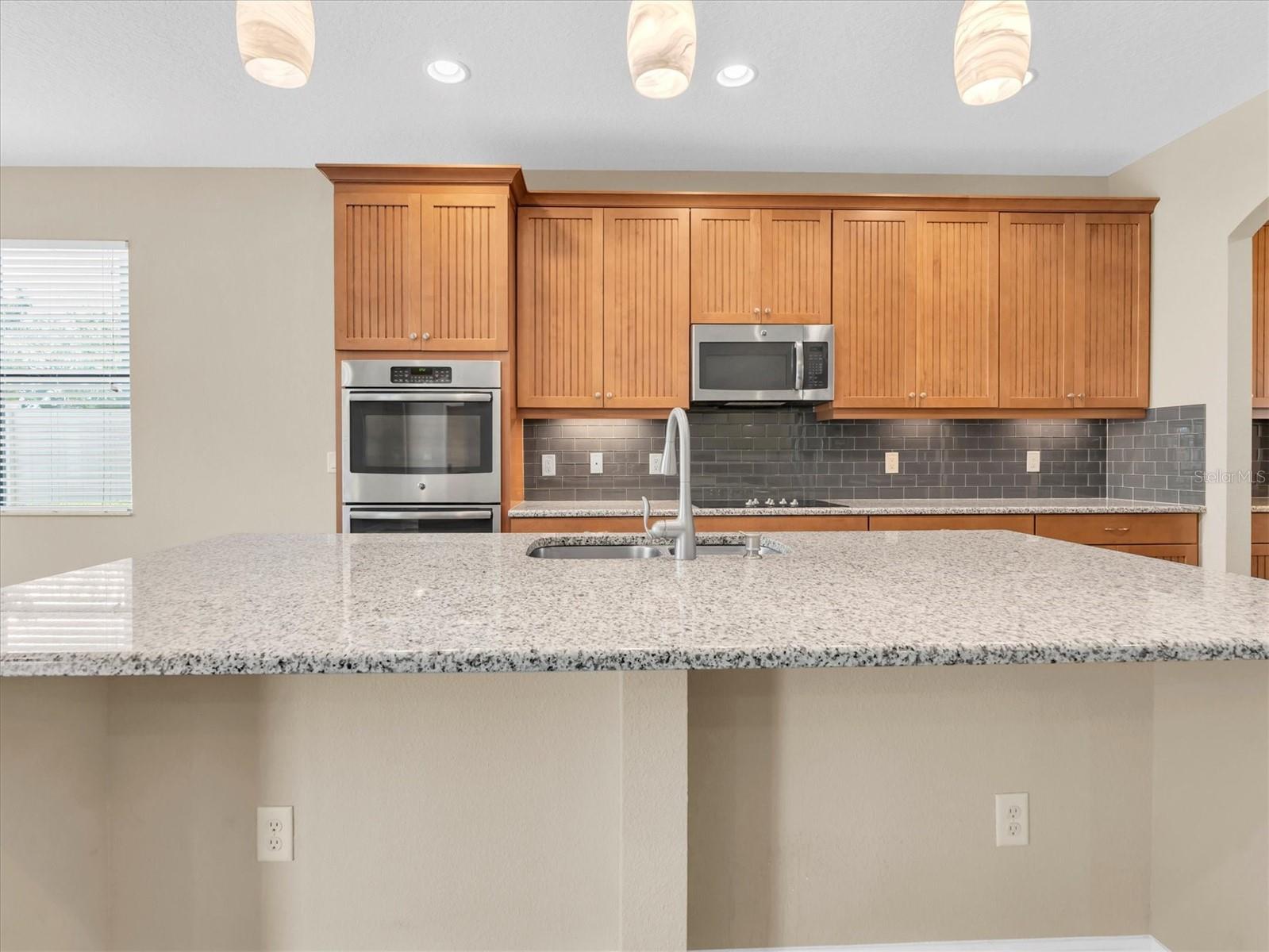 19326 LONG LAKE RANCH BLVD, LUTZ, FL, 33558