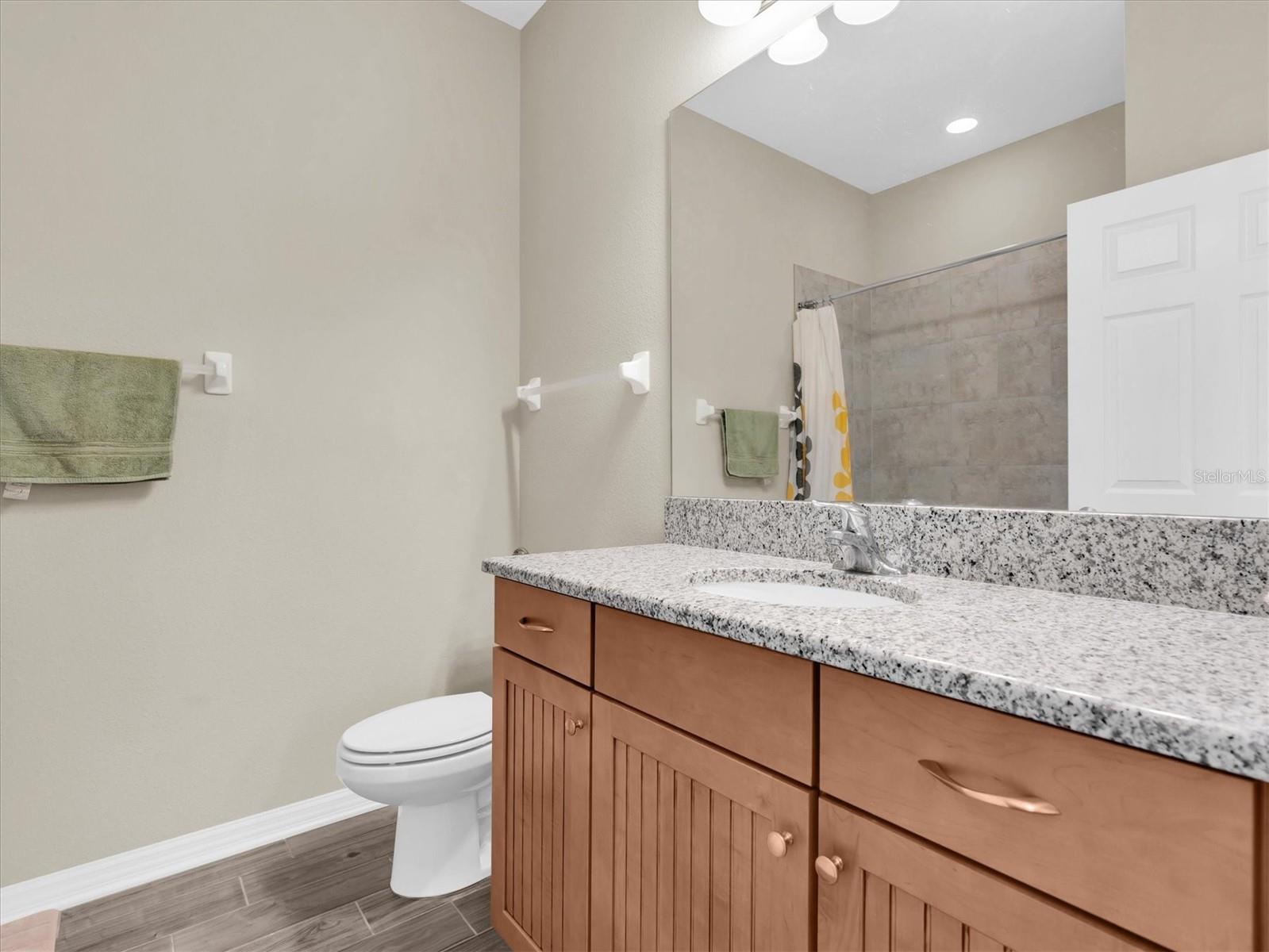 19326 LONG LAKE RANCH BLVD, LUTZ, FL, 33558