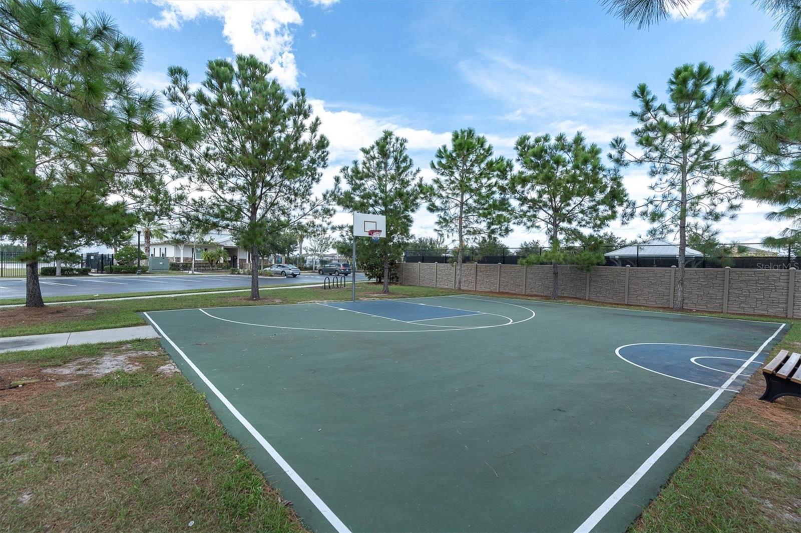 19326 LONG LAKE RANCH BLVD, LUTZ, FL, 33558