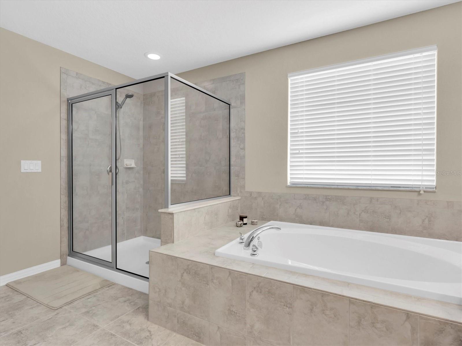 19326 LONG LAKE RANCH BLVD, LUTZ, FL, 33558