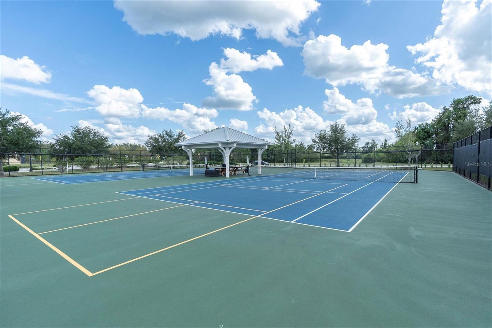 19326 LONG LAKE RANCH BLVD, LUTZ, FL, 33558