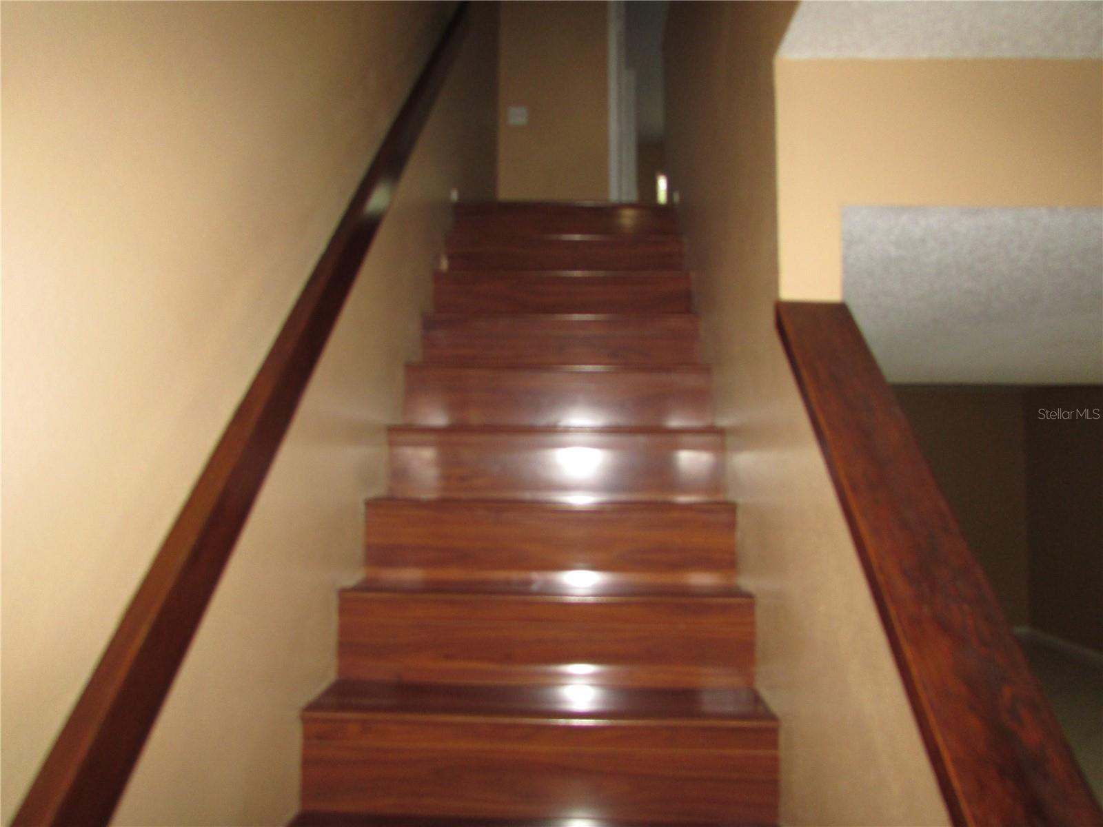 10049 LAKE OAK CIR, TAMPA, FL, 33624