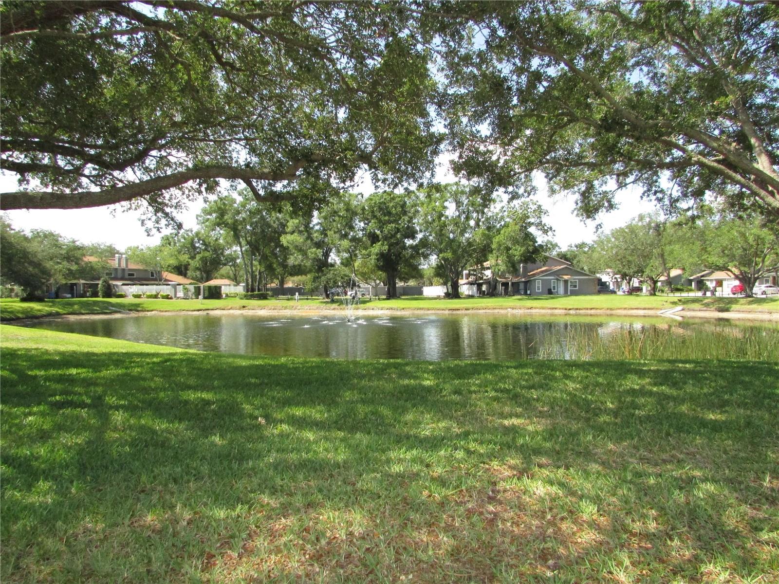 10049 LAKE OAK CIR, TAMPA, FL, 33624