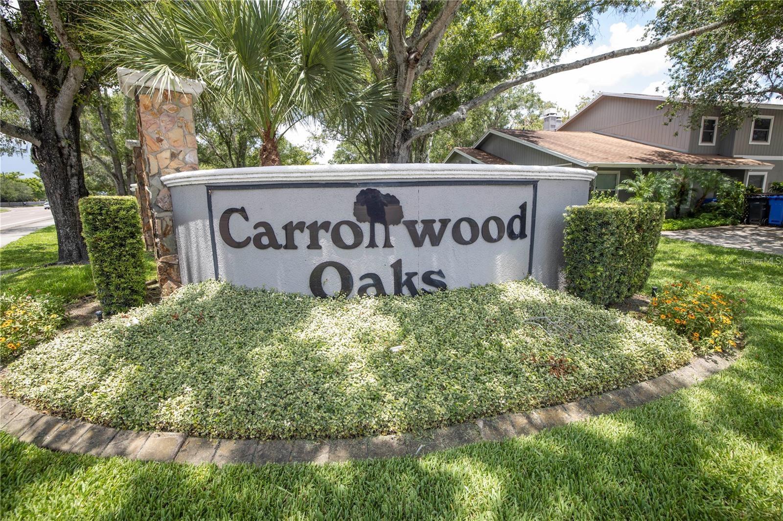 10049 LAKE OAK CIR, TAMPA, FL, 33624