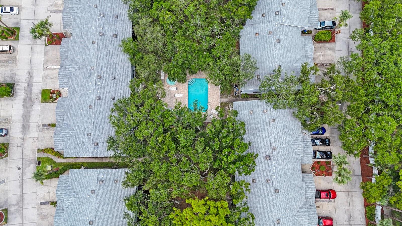 9205 JAKES PATH, LARGO, FL, 33771