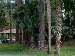 275 INDIGO DR #105, DAYTONA BEACH, FL, 32114