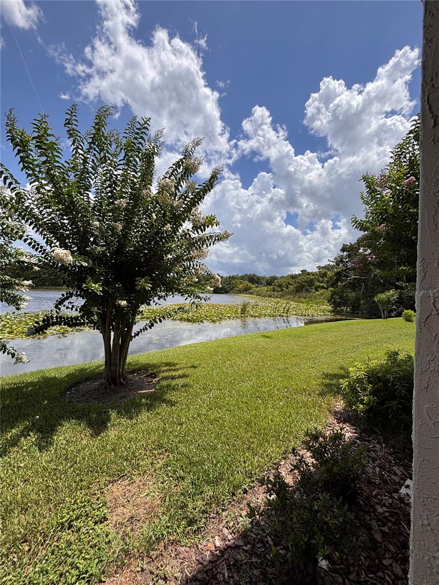 145 N PEARL LAKE CSWY #104, ALTAMONTE SPRINGS, FL, 32714