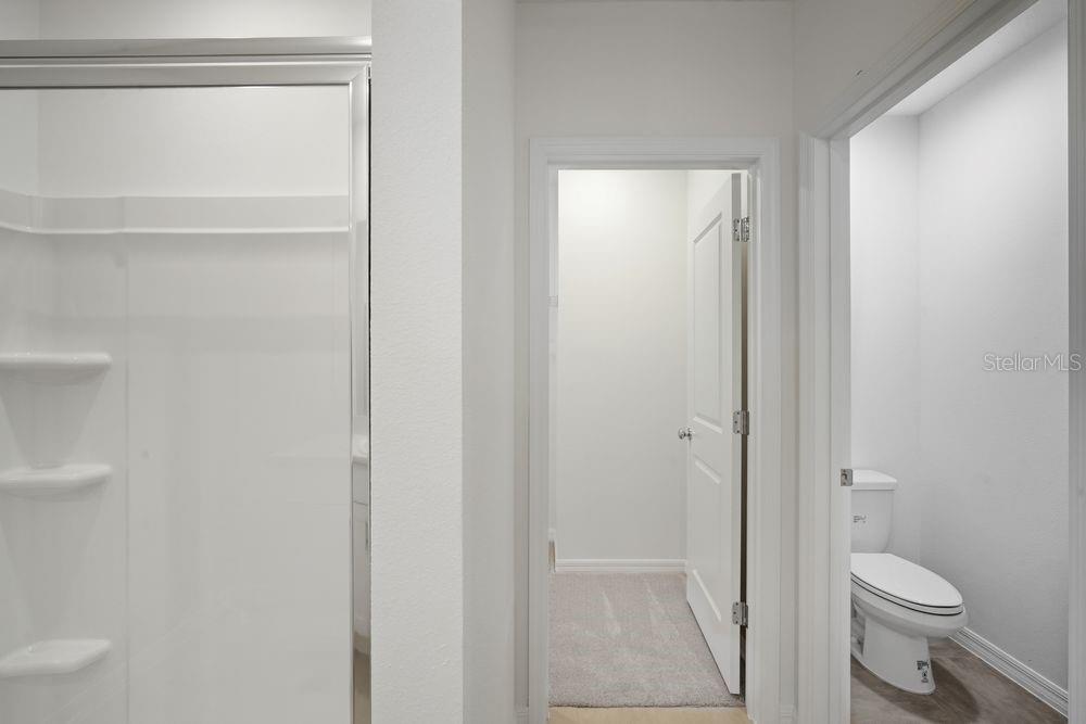 13584 Tropical Breeze ~ Ready Now