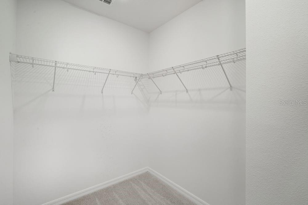 13584 Tropical Breeze ~ Ready Now