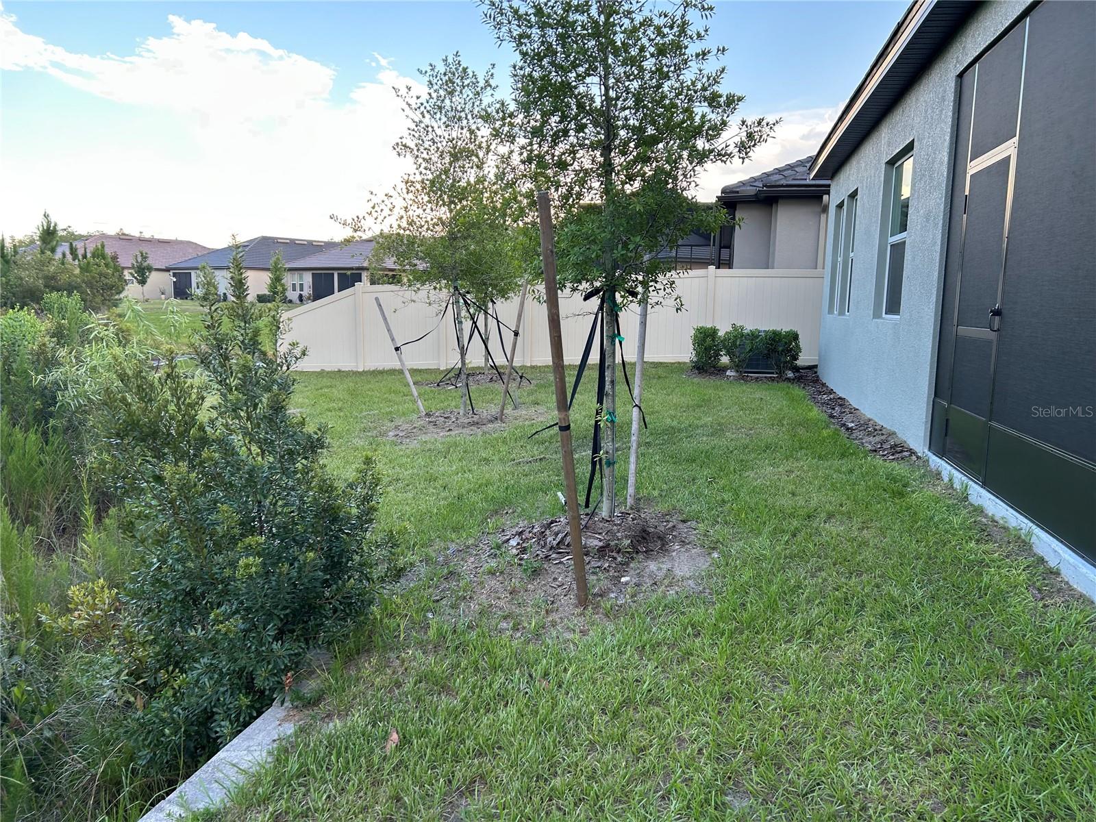 Backyard w/ 3 trees andFence on the right side